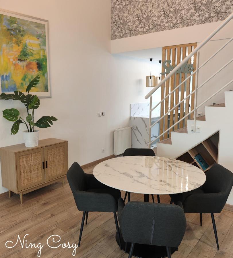 Superbe Cosy Duplex Appartement T3 Charpenne Tete D'Or Avec Parking Prive Gratuit Villeurbanne Exterior photo