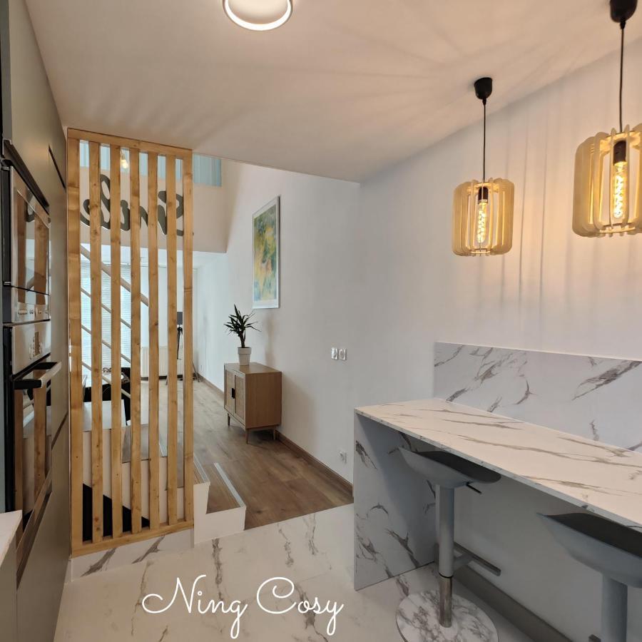 Superbe Cosy Duplex Appartement T3 Charpenne Tete D'Or Avec Parking Prive Gratuit Villeurbanne Exterior photo