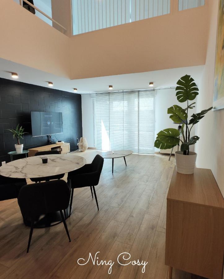 Superbe Cosy Duplex Appartement T3 Charpenne Tete D'Or Avec Parking Prive Gratuit Villeurbanne Exterior photo